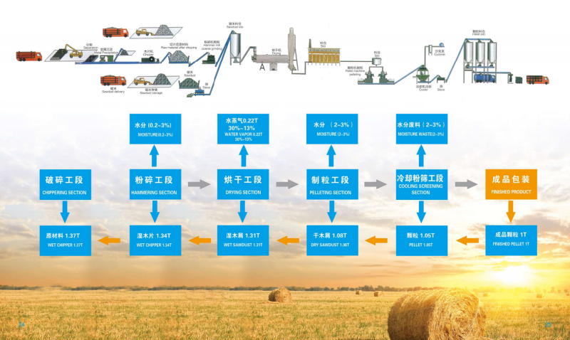 玩球直播宣传册_13 - 副本.png